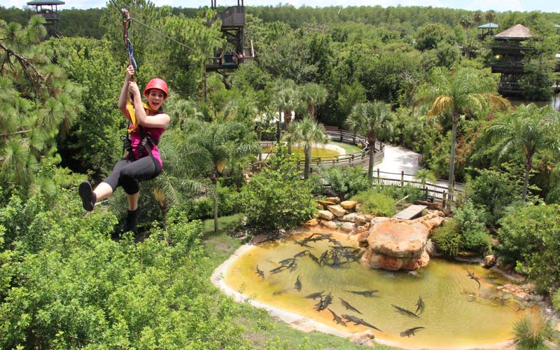 Screaming Zipline and Admission  Orlando - vacaystore.com