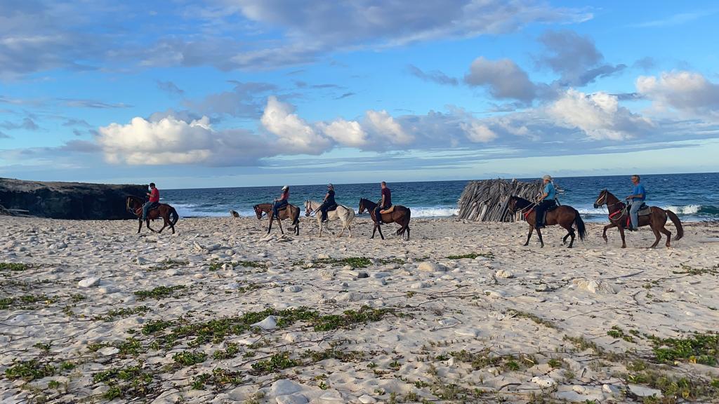 MORNING HORSE BACK RIDING TOUR BY AHT  Aruba - vacaystore.com