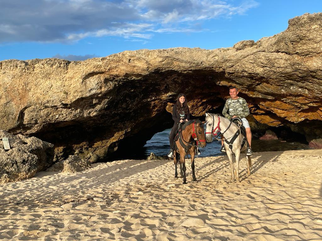 MORNING HORSE BACK RIDING TOUR BY AHT  Aruba - vacaystore.com