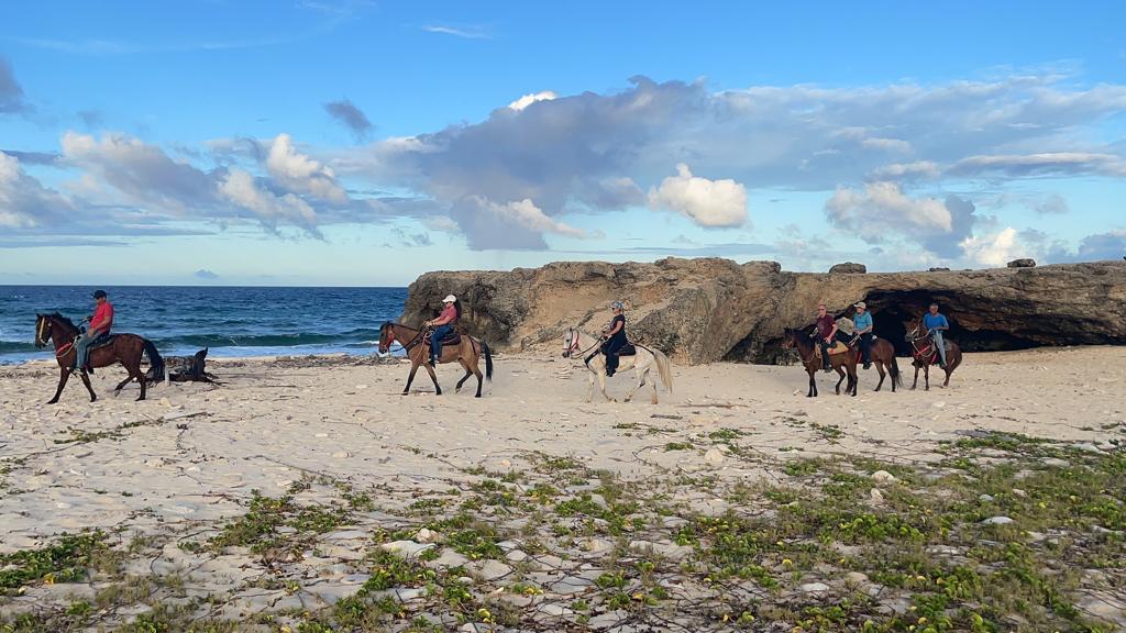 MORNING HORSE BACK RIDING TOUR BY AHT  Aruba - vacaystore.com