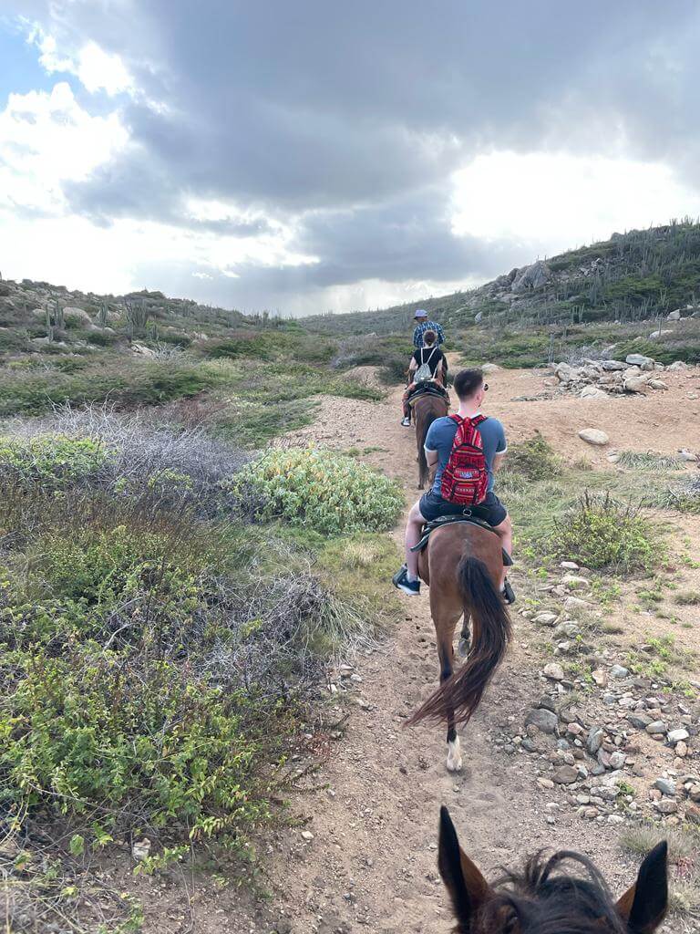  AFTERNOON HORSE BACK TOUR BY AHT  Aruba - vacaystore.com