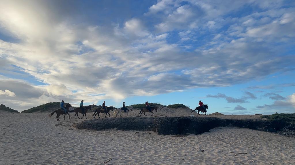 MORNING HORSE BACK RIDING TOUR BY AHT  Aruba - vacaystore.com